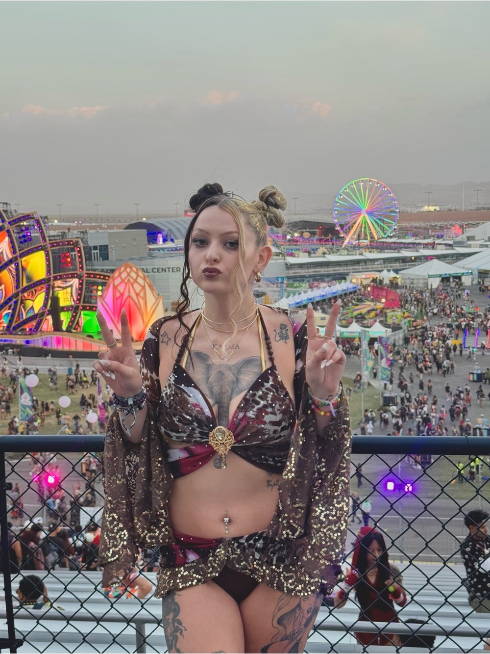 Wild dreamz 3 piece festival outfit 🤎🦋✨